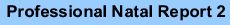 Professional Natal Report