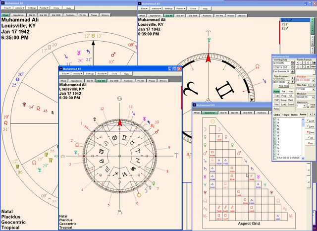 astrology house systems placidus